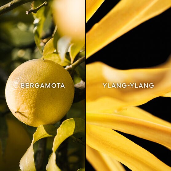 Perfume Guerlain Terracotta Feminino Eau de Toilette